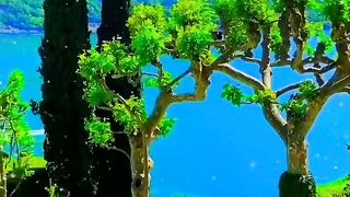 Very nice video 21