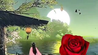 Nice view video 8