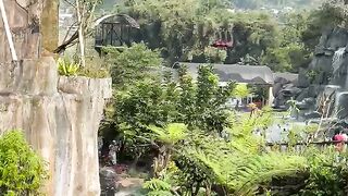Jogja holidays