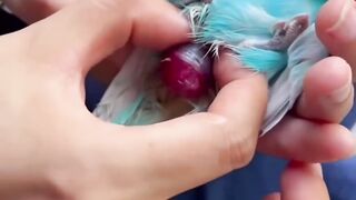 That's so cute ❤️????