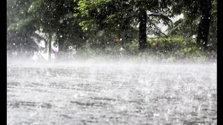 Meteorological department predicts rain for next 12 hours