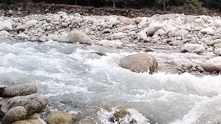 Nature moment ????