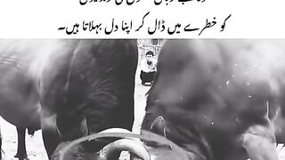 Allah ???????????? 2