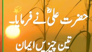 حضرت علی نے فرمایا 3
