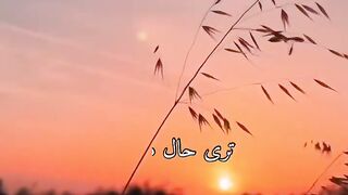 أحمد الوائلي ، قولًا وحكمةً وبصيرة ، كأنه حيٌّ يعيش بيننا الآن ..