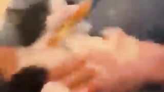 ???? Kucing Lapar? Apa Aja Dimakan!