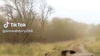 watching full video 4