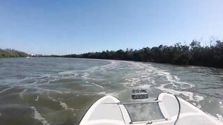 Go cats boat