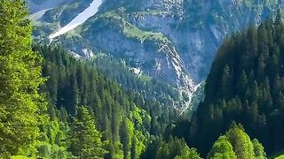 Nature 272