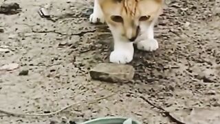 watching full video 5