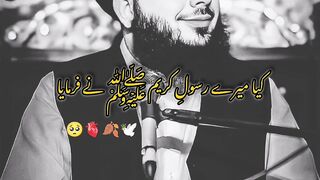 Peer ajmal Raza Qadri 2
