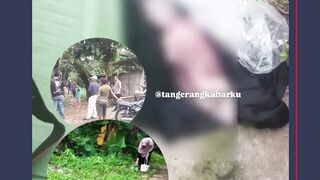 Penemuan sebuah m4yat (bayi)