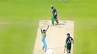 Cricket lovers 8