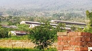 "GEDE" mountain