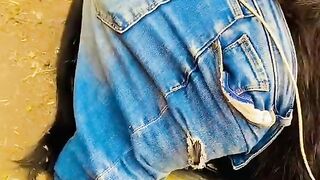 Varil video dekhen full watched 6