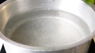 Palak Paneer 2