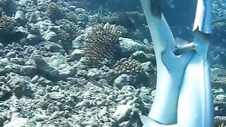 How to have shark style of love