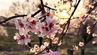 Al Quran ???? Duain TikTok viral video follow for more videos