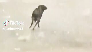 full video watching 47