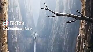 full video watching 48