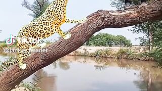 watching full video 7