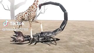 video full watching 4