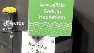 تنسيق حفلات 2