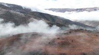 Growing Lettuce in the World's Driest Desert: A Chilean Innovation