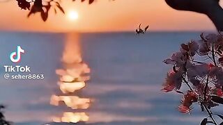 Nice video 397