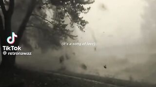 Nice videt5