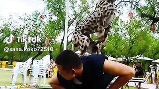full watching video 2
