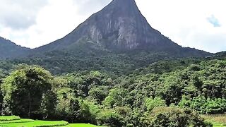 Mimure in sri lanka