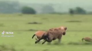 watching full video 11