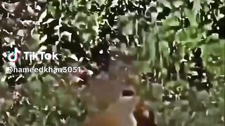 watching full video 9