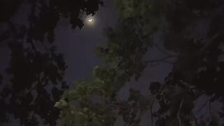 Mohabbat tujy vida kia