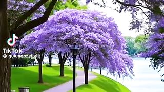 Niceee 4