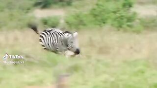 full video watching 54