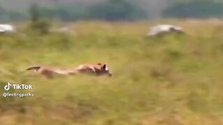 watching full video 14