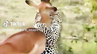 see this video full 4
