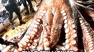 9 Real-Life Dinosaurs That Still Exist! #dinosaur #reallife #existence #dinosaurworld