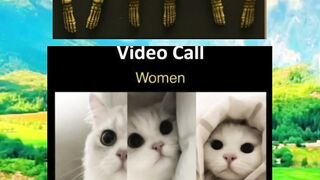 Meme of the day | Funny memes #Funny 3