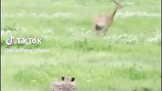 watching full video 15
