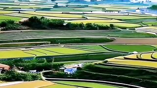 Very beautiful view 5