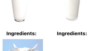 Normal vs Vegan milk