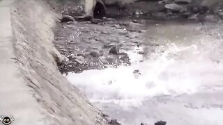 Prank video 56