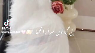 Latest song hit song