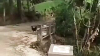 Video Viral Aksi Bocil Review Jalan Desa, Netizen Soroti Anggaran dan Transparansi Proyek