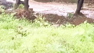 Hindi 5