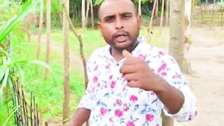 বেকার ছেলে কষ্টে গড়ে