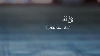 Islamic video 513